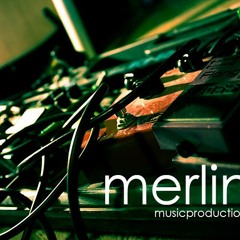 Woman Mi Need You ( Wine )