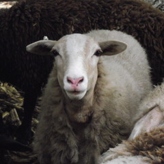 Separate And Unwind (New)