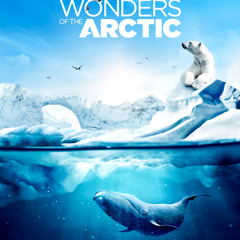 WONDERS OF THE ARCTIC: Unicorns and Canaries of the Sea (Liz Gowen, Bassoon)