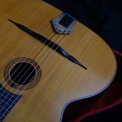 Montagne st. Genevieve (Django Reinhardt)