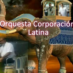 Camino como el Elefante Lento Pero Seguro