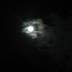 Bad Moon Rising (CCR Cover)
