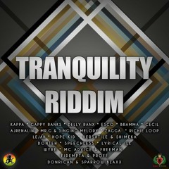 DONTEH - MARY JANE - TRANQUILITY RIDDIM - ZJ HENO PRODUCTIONS - AUGUST 2014