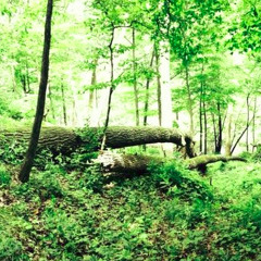 Situational Complexity