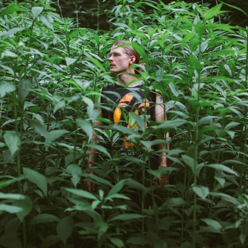 C.Shreve the Professor - Dogfight (prod. By ROMAINNN)