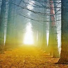 Cold morning (175)