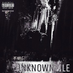 不明G11//DELETED