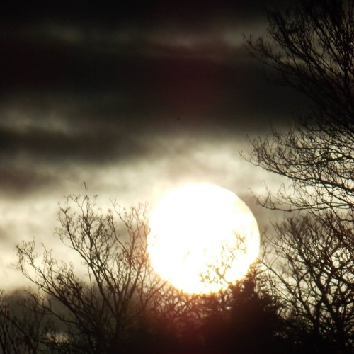 John O' Callaghan, Aly & Fila, Simon Patterson, John Askew, Talla, (Bio Rhythms - Stress Fracture)