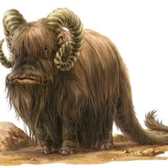 Bantha Walk - 70 Bpm Cut Loop