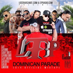 DJ Al BoogzZ - Hip Hop Mix (LTP DR PARADE Mixtape 2014)