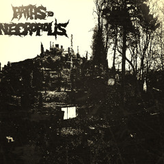 Psychiatric Morbidity