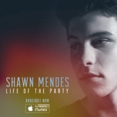 Life Of The Party - Shawn Mendes (Cover)