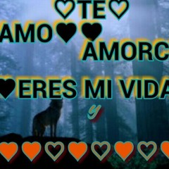 La Maquinaria Norteña Mix Dj victor