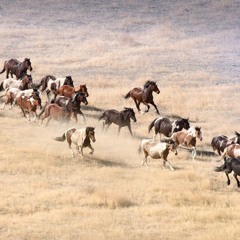 The Essence - A Mirage