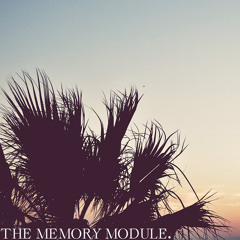 The Memory Module