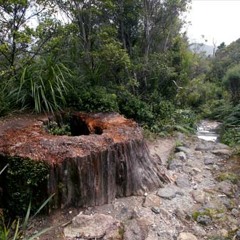 Stump Valley / Mix