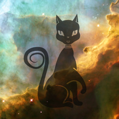 SCHWARZEKATZE