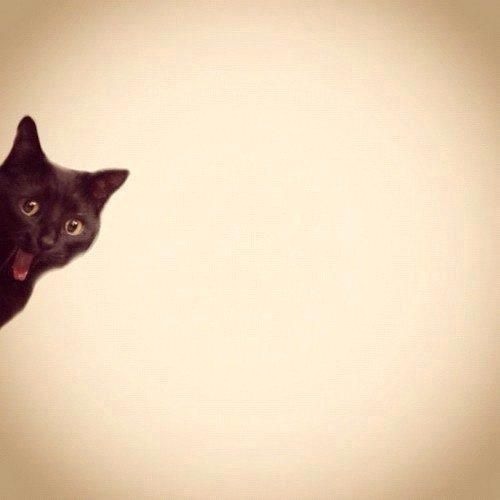 RAYJER  - Reaction Time *FREE DOWNLOAD*
