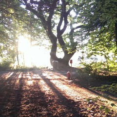 SAM HEALEY QUARTET 'rain on the day'