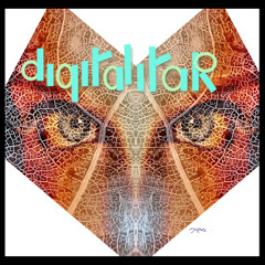 - digitalitar - digitalitary age - Электро-поп и Диско