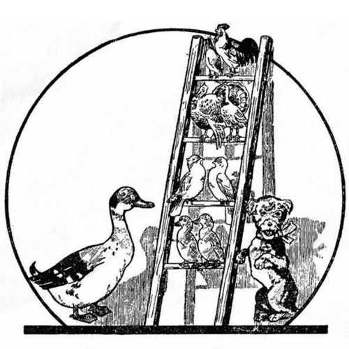 Dewit b2b Juli N. More @ Sisyphos Berlin, 26.07.2014