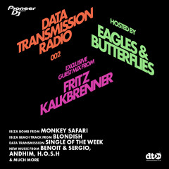 Data Transmission Radio Show 022 - Pioneer Radio - Hosted by Eagles & Butterflies