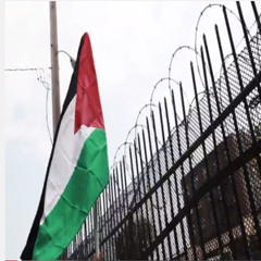 Dub KMG Ft. Seek -  Free Palestine