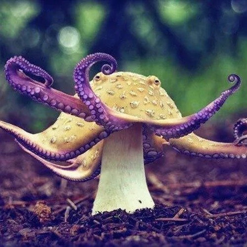 Sprøøøød