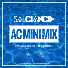 AC Mini Mix 2014