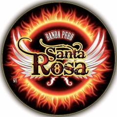 04. - Tu Ni Te Imaginas - Banda Puro Santa Rosa