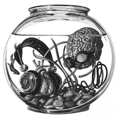 ETBeat Et1 (No Disponible)(Not Available)