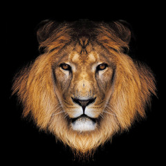 Waizero Prince Far I Remix by Frederico7