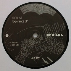 Experience EP (12") P-T 035