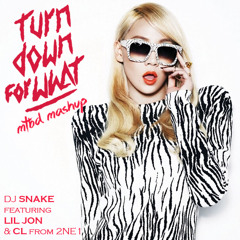 DJ Snake ft. Lil Jon vs. CL (from 2ne1) - Turn Down For Mental Breakdown [Extra Bass Boost]