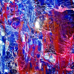 Absolutely Shameless (Frank Hates Canada)