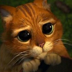 ติงต๊ง The บอย & The เมา & The เหล้า & The เบียร์