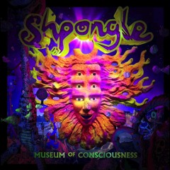 Shpongle - And The Day Turned To Night