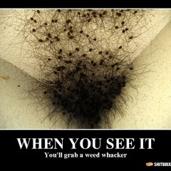 Mr. Wilsawn & DJ ReDDick - Free Sample Hairy Muff