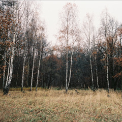 0pl180703