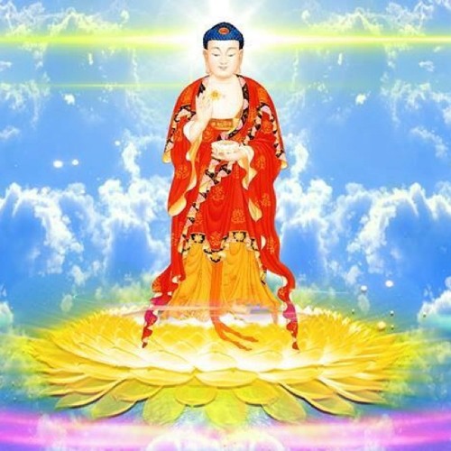 NHẠC PHẬT GIÁO VIỆT NAM - TRƯỜNG CA KINH A DI ĐÀ - Võ Tá Hân phổ nhạc