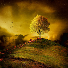 Michael Pok Feat. Marta Chodynska - Reach The Sky (Ichikai Remix) [FREE DOWNLOAD]