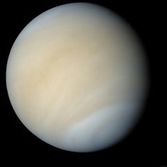 From Venus with Love
