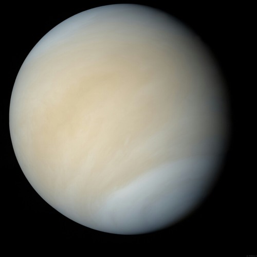 From Venus with Love