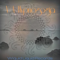 45 (Vocal Dub) [Wiquid Liquid / Neurotrance] FREE DL