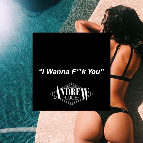 Akon - I Wanna F**k You ft. Snoop Dogg (Andrew Luce Remix) [Free Download]