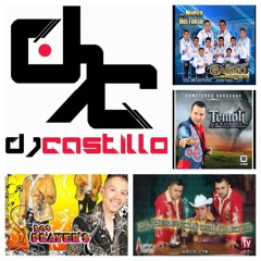 Tierra Caliente Puro Pa Pistiar 2