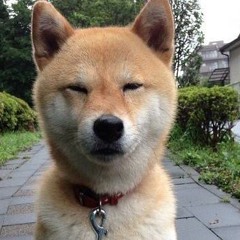 stylish bros/光明(DJ GONG レイニー・サタデイRMX)