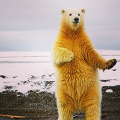 Caio Miranda - Eletronic music podcast august 2014