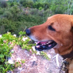 2014 everyday's vibe!