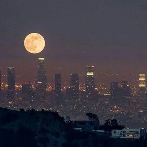 سلم ع الشهدا اللى معاك at Sherehan